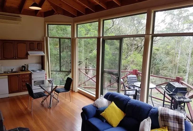 Barrington Tops Nest
