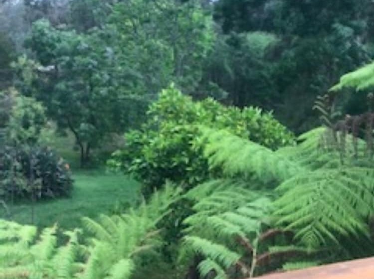 فندق Gipsy Point Lodge