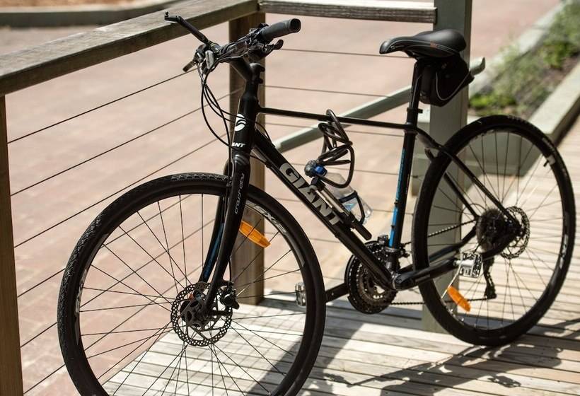 فندق Gipsy Point Lodge