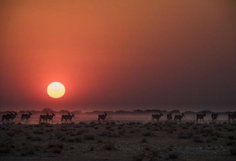 هتل Safarihoek Lodge