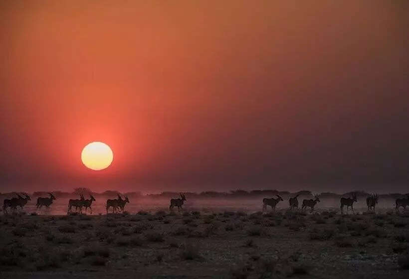 Hotelli Safarihoek Lodge