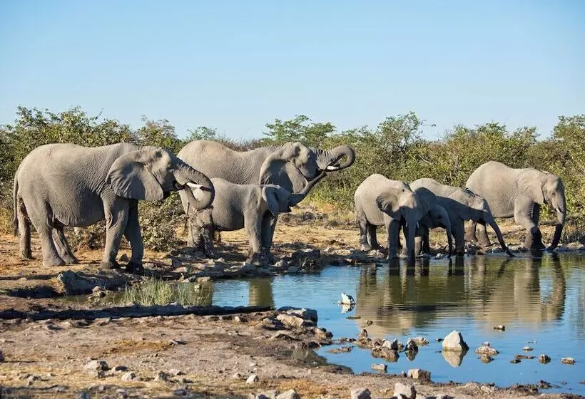 Hotelli Safarihoek Lodge