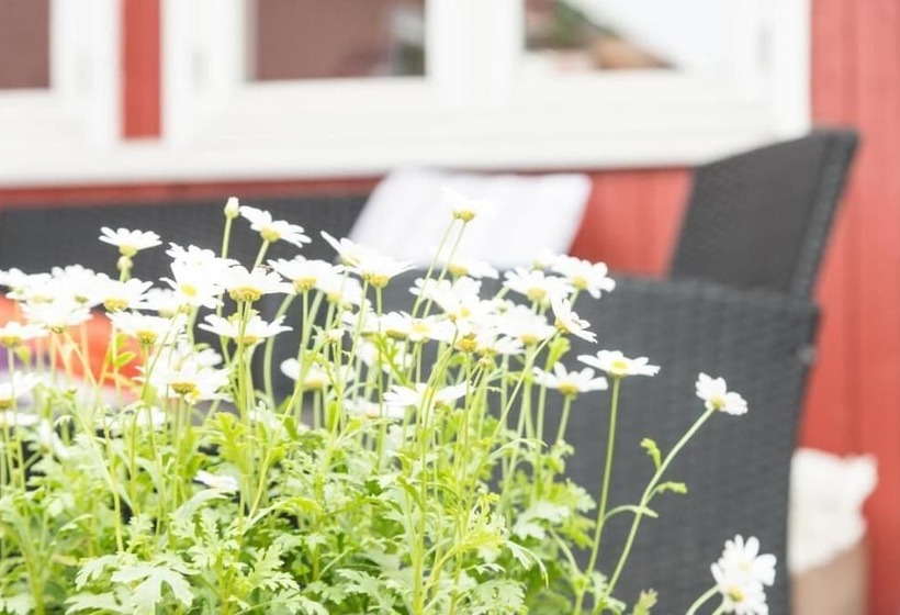 膳宿费 Nordliv Strand