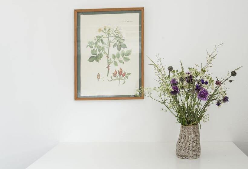 膳宿费 Nordliv Strand