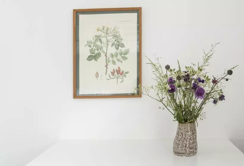 Majatalo Nordliv Strand