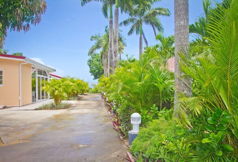 اقامتگاه Oasis Du Levant