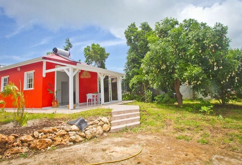 اقامتگاه Oasis Du Levant