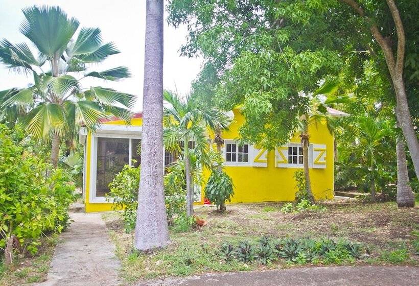 اقامتگاه Oasis Du Levant