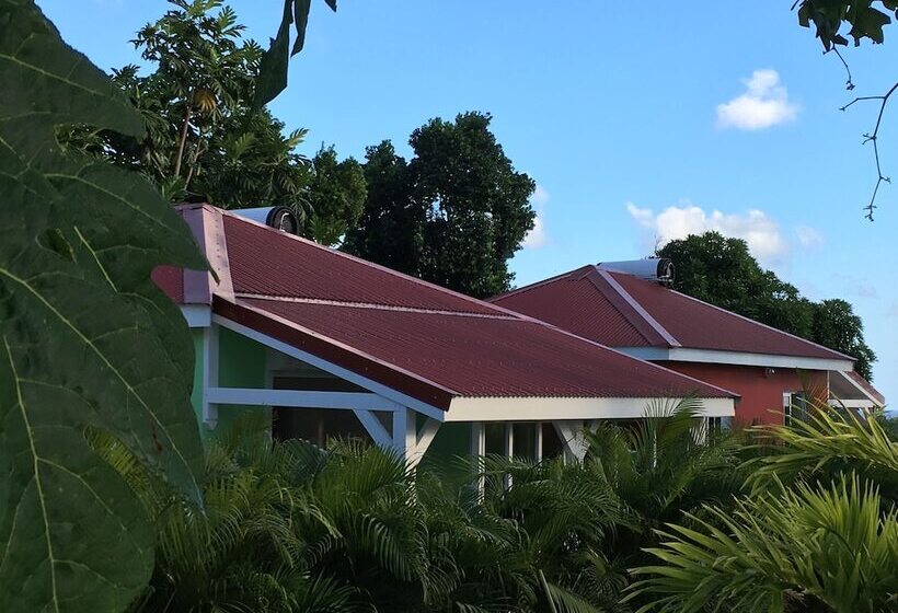 اقامتگاه Oasis Du Levant