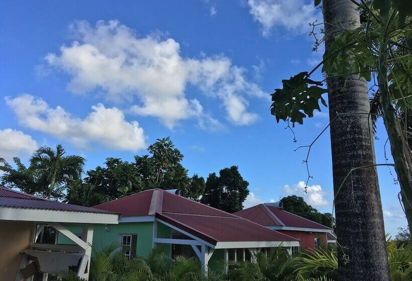 اقامتگاه Oasis Du Levant