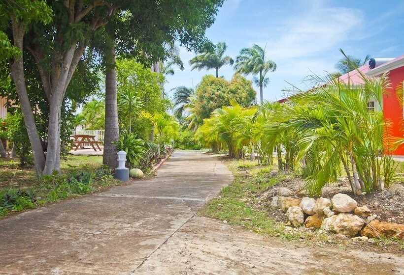 اقامتگاه Oasis Du Levant