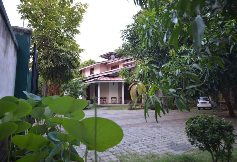 膳宿费 Binara Home Stay Tourist Lodge