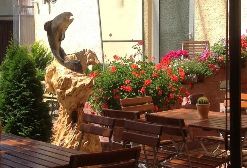 Majatalo Gasthaus Forelle