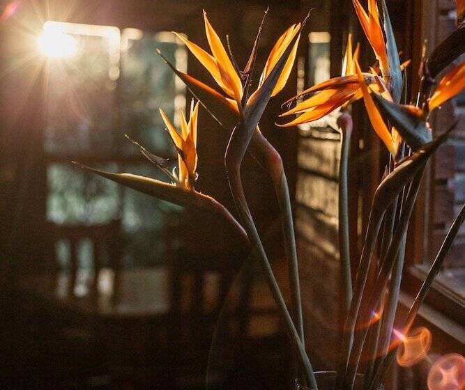 Majatalo Wendy S Country Lodge