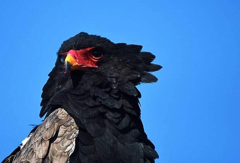 Majatalo Wendy S Country Lodge