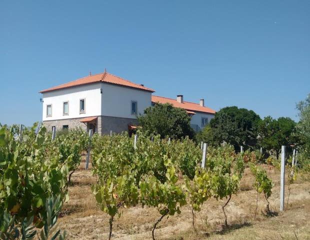 Quinta De Vodra