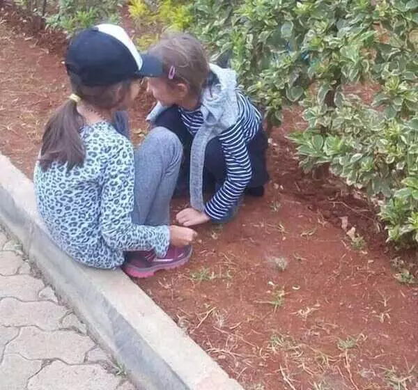 تختخواب و صبحانه Karolinas Homestay Near Jkia