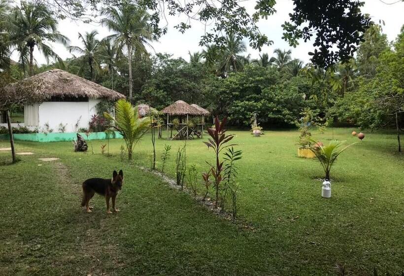 Отель Ciamat Camp