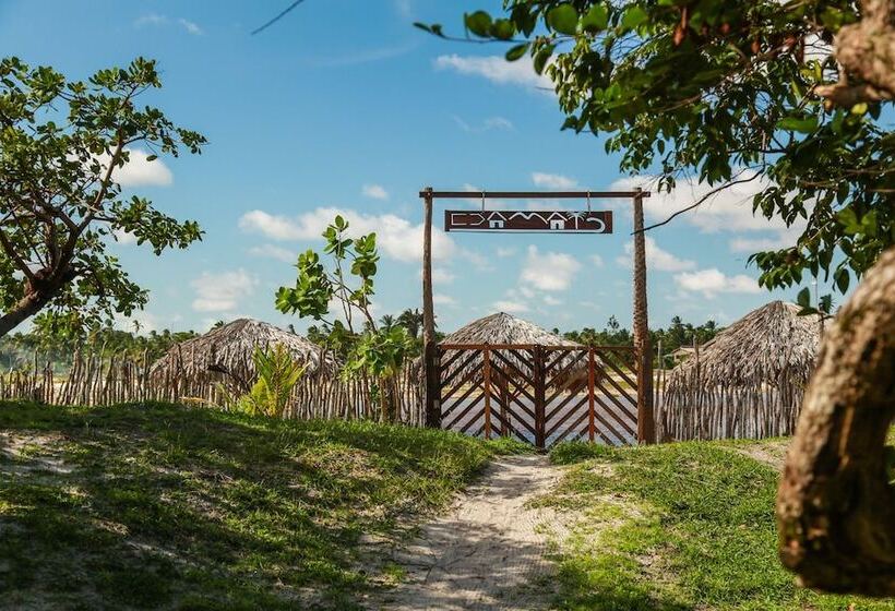 Отель Ciamat Camp