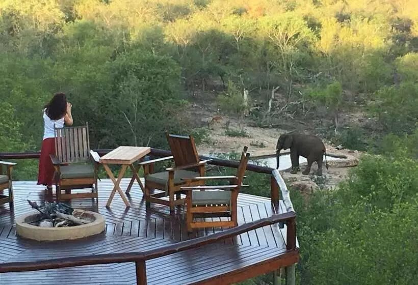 ホテル Elephant Game Lodge