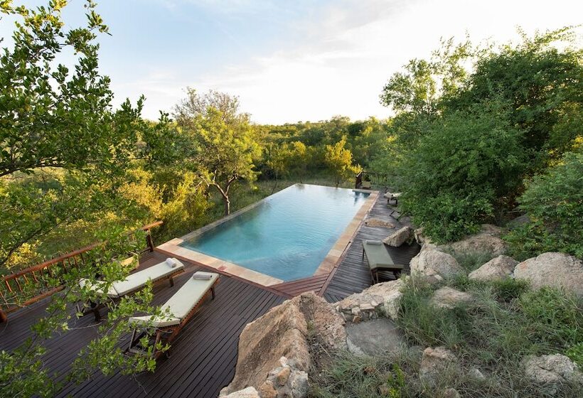 בית מלון כפרי Elephant Game Lodge