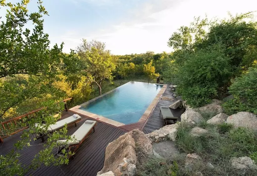 ホテル Elephant Game Lodge