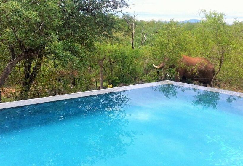 בית מלון כפרי Elephant Game Lodge