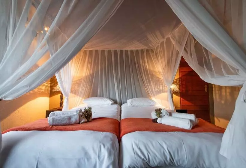 ホテル Elephant Game Lodge