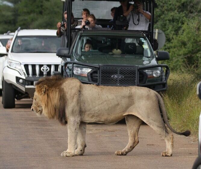 בית מלון כפרי Foxy Crocodile Bush Lodge & Kruger Safari S No Loadshedding