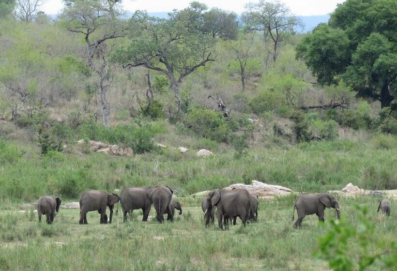 בית מלון כפרי Foxy Crocodile Bush Lodge & Kruger Safari S No Loadshedding