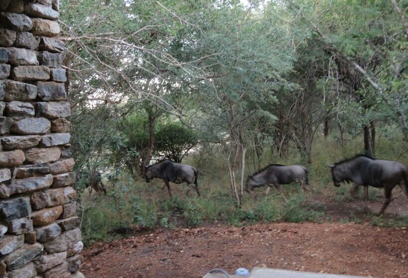 בית מלון כפרי Foxy Crocodile Bush Lodge & Kruger Safari S No Loadshedding