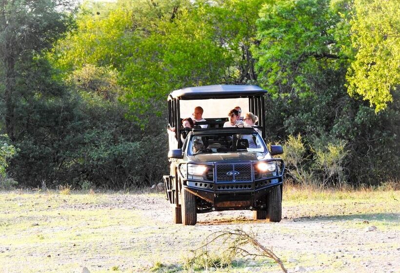 בית מלון כפרי Foxy Crocodile Bush Lodge & Kruger Safari S No Loadshedding