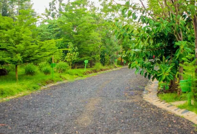 هتل Paradise Lodge Arbaminch