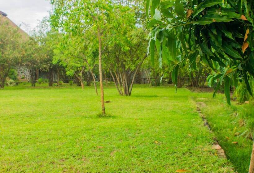 هتل Paradise Lodge Arbaminch