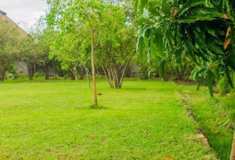 هتل Paradise Lodge Arbaminch