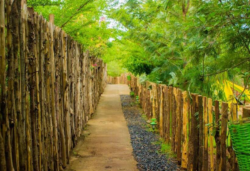 هتل Paradise Lodge Arbaminch