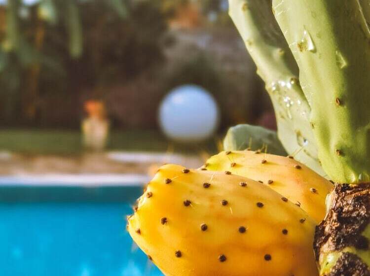 ペンション Don Agostino Relais Masseria