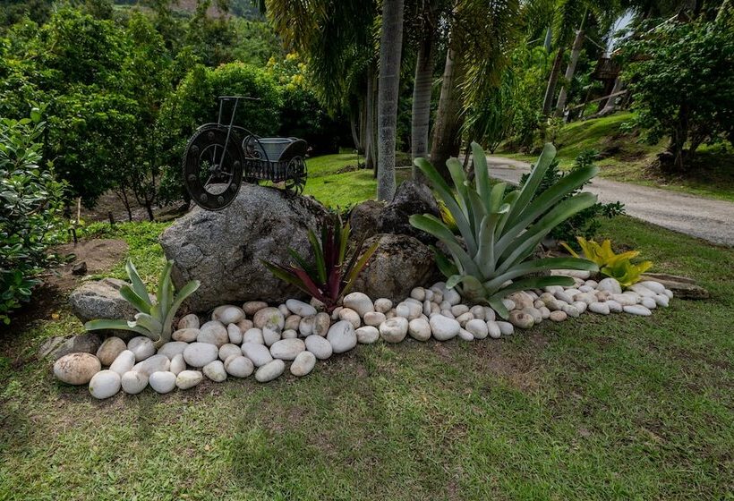 پانسیون Hacienda Tres Casitas