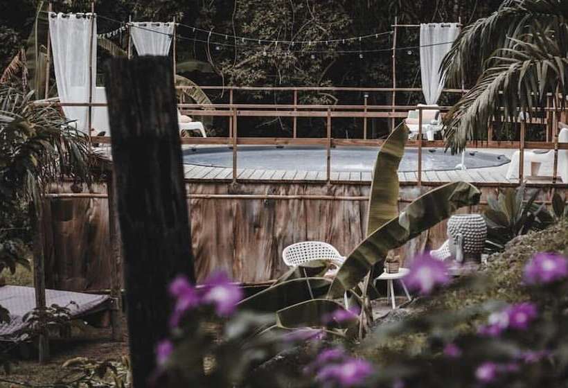 پانسیون Hacienda Tres Casitas