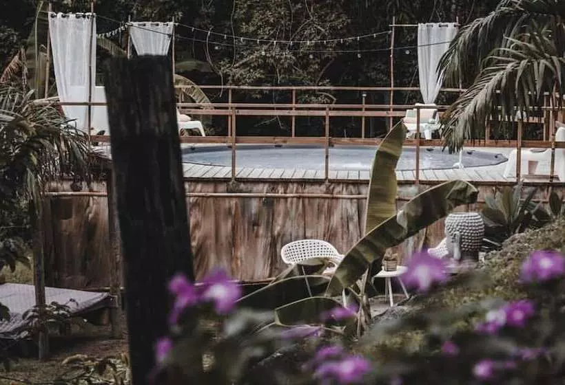 پانسیون Hacienda Tres Casitas