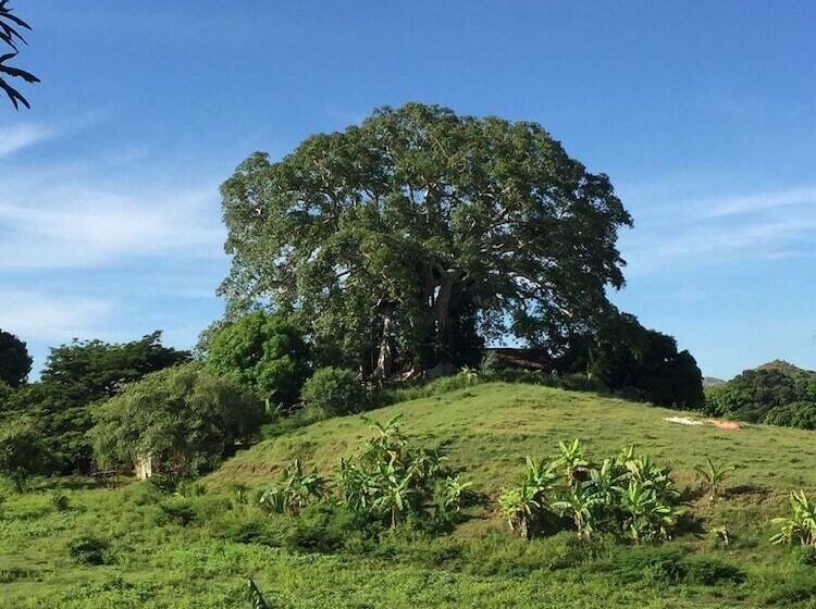 پانسیون Madagascar Resort Nosy Be