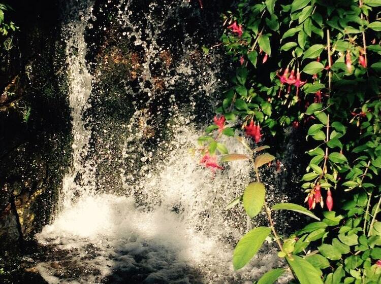 پانسیون Propriedade Do Pires