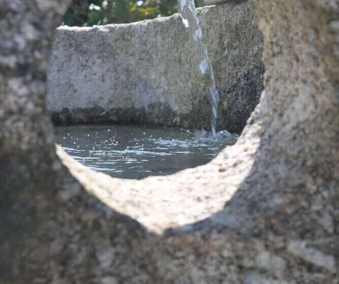 Pensiune Propriedade Do Pires