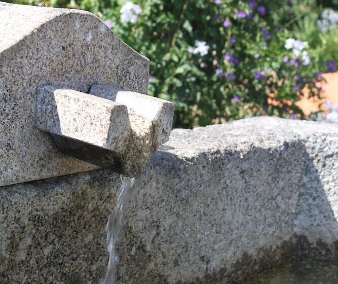 پانسیون Propriedade Do Pires