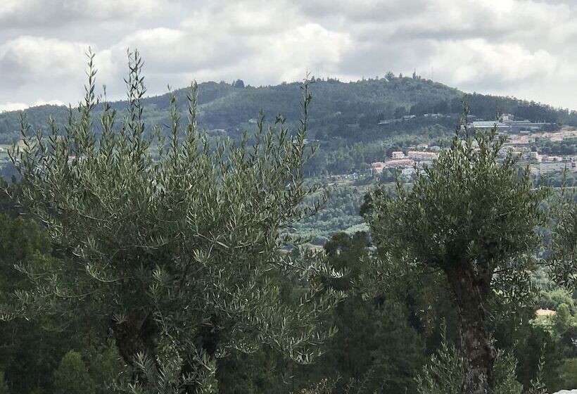 پانسیون Propriedade Do Pires