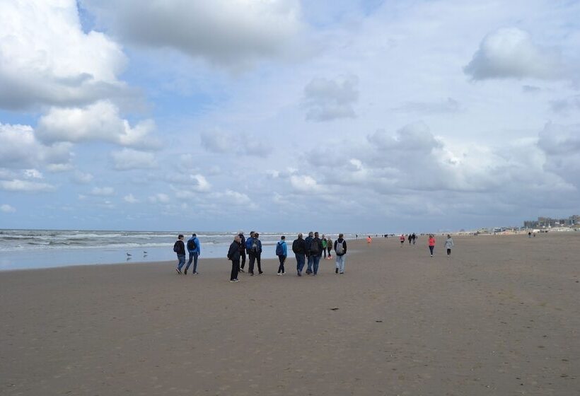 B&b Little Miss Sunshine