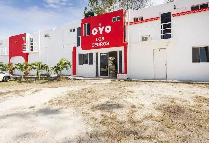 هتل Los Cedros Campeche