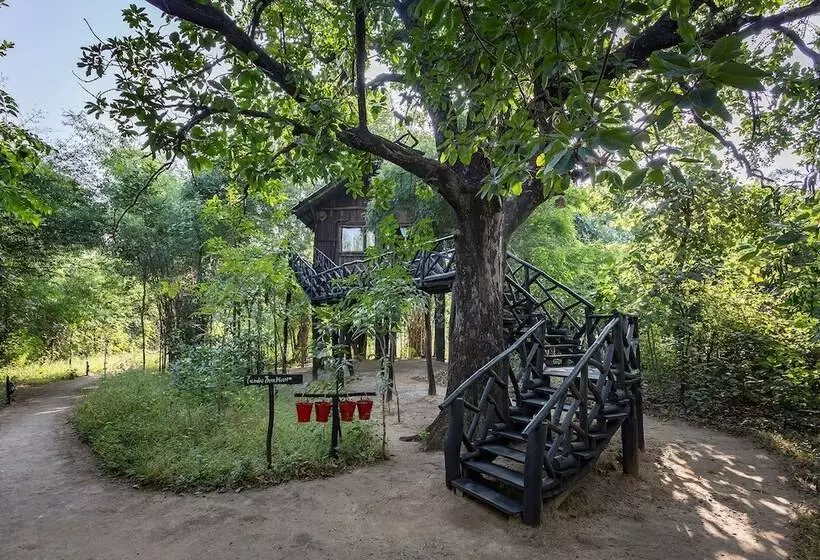 ホテル Pugdundee Safaris  Tree House Hideaway