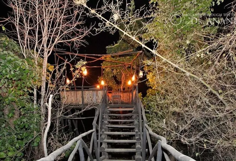ホテル Pugdundee Safaris  Tree House Hideaway