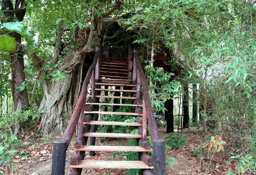 ホテル Pugdundee Safaris  Tree House Hideaway